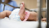 Bebê prematuro é primeiro infectado com superfungo Candida auris (Freepik)